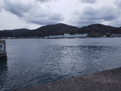 根魚はやっぱりいいよねー