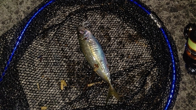 ライトゲーム！