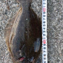 初釣行は爆風・・・