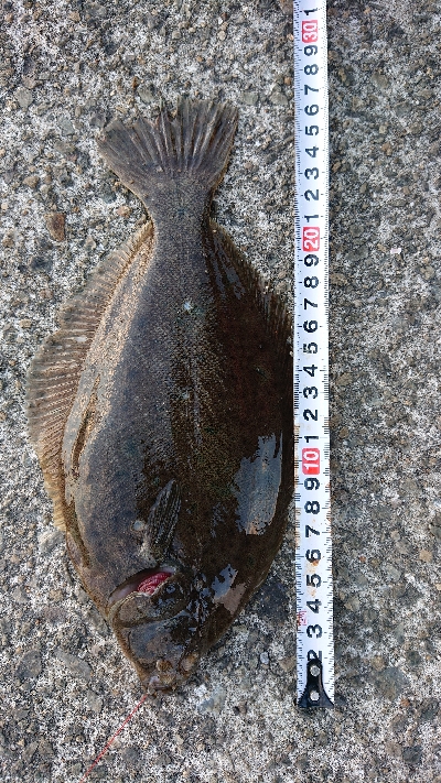 初釣行は爆風・・・