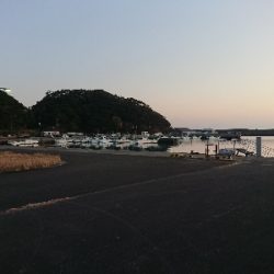 あけおめカマス❗