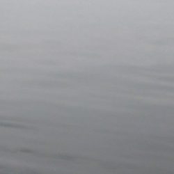 久しぶりのハネ