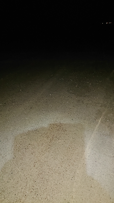 狙いはシーバス！