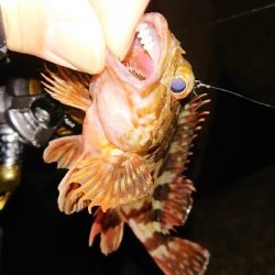 活性高く楽しめた♪