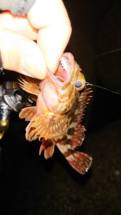 活性高く楽しめた♪