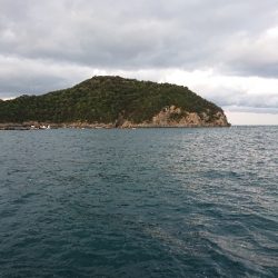 釣れましておめでとうございます！