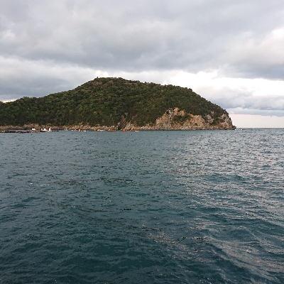 釣れましておめでとうございます！