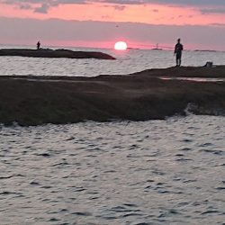 初イカ釣れましておめでとうございます！