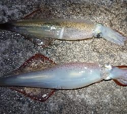 天気が雨予報前に