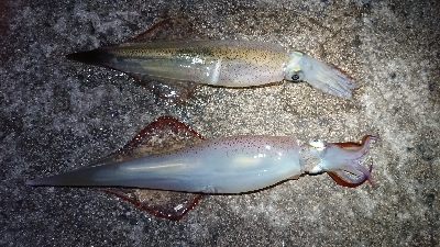 天気が雨予報前に