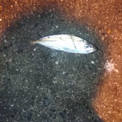 活性が悪いのか!