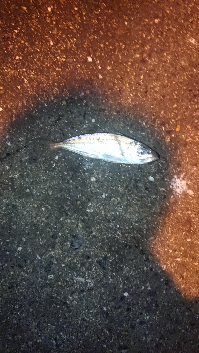 活性が悪いのか！