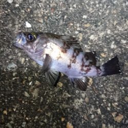 ストラクチャー