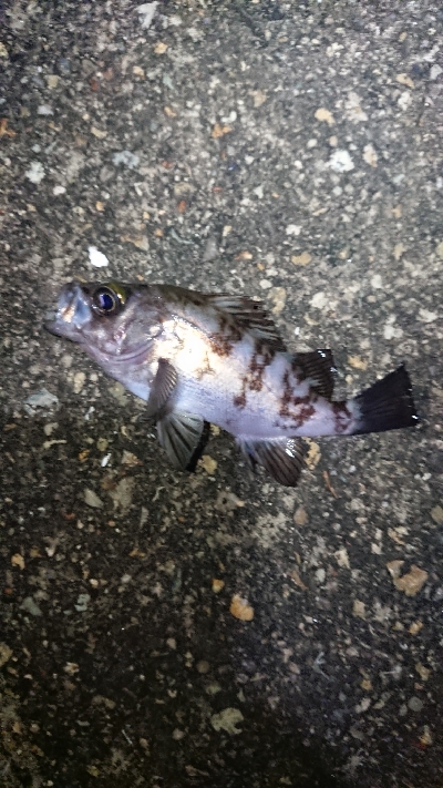 ストラクチャー