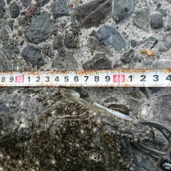 春野漁港周辺サーフ、ショアジギンク