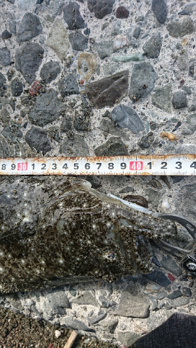 春野漁港周辺サーフ、ショアジギンク