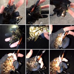 初釣り、そして入魂