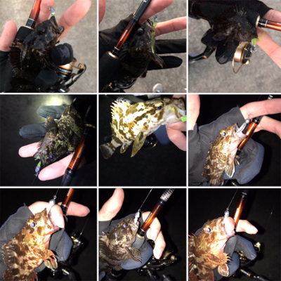 初釣り、そして入魂