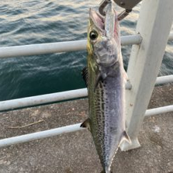 新年2日目、何とか形に
