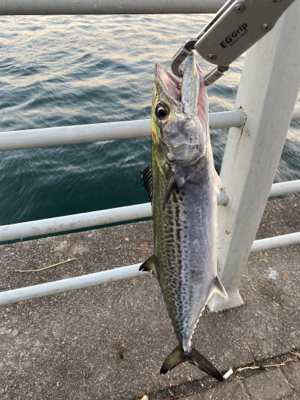 新年2日目、何とか形に