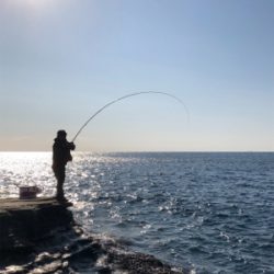 初釣り　磯フカセ