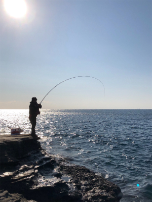 初釣り　磯フカセ