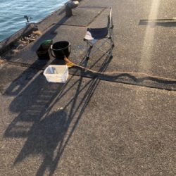 サッパとコハダ