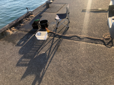 サッパとコハダ