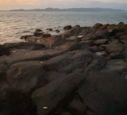 今年2回目の釣り