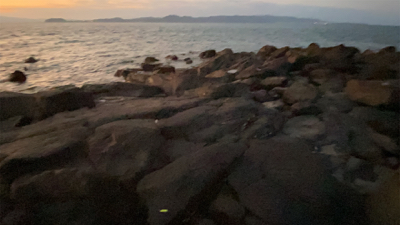 今年2回目の釣り