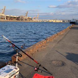 元日 エビ撒き釣行