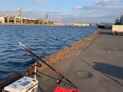 元日 エビ撒き釣行