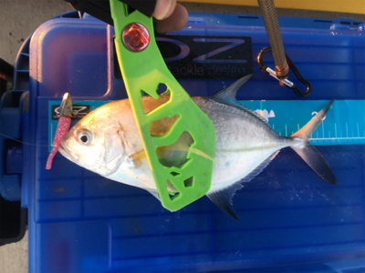 初釣行（やり直しw）