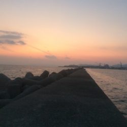 初釣りは和田防でアジ狙い