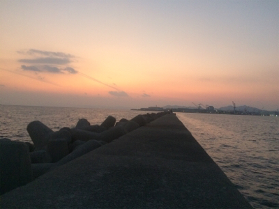 初釣りは和田防でアジ狙い