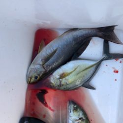 室戸離岸堤にてフカセ