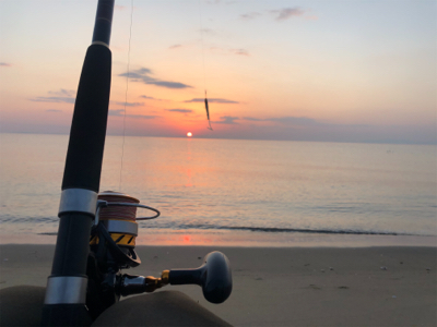 サーフ釣果(ボラだらけ)