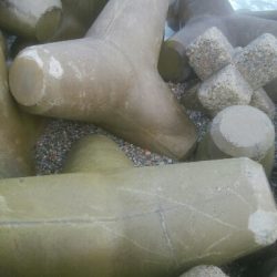 令和2年　初釣行！