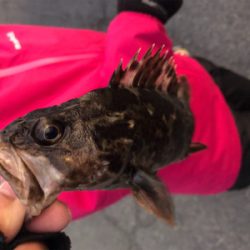 2020初フィッシュ❗️