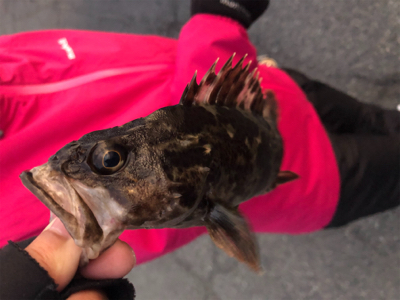 2020初フィッシュ❗️