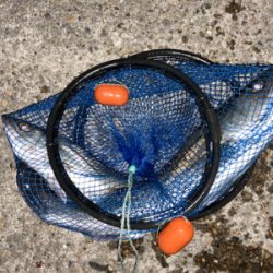 シーバス誕生日釣行