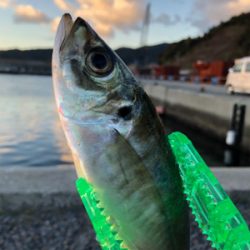 風強かったヨォ