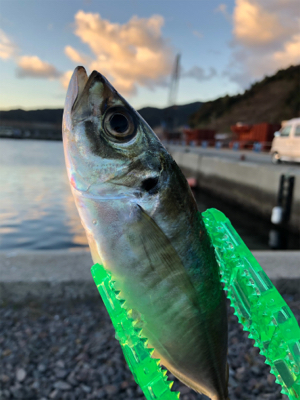 風強かったヨォ