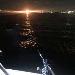 爆風中アジ釣り