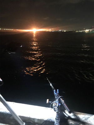 爆風中アジ釣り