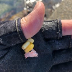 波止フカセ釣り