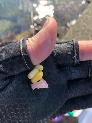 波止フカセ釣り