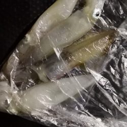 アジング練習 94