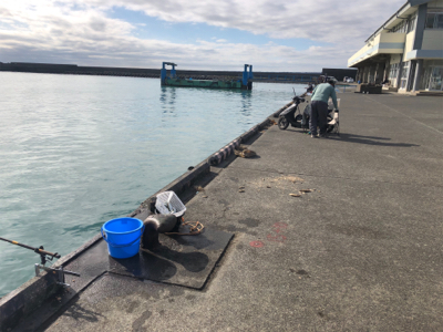 サッパとコハダ