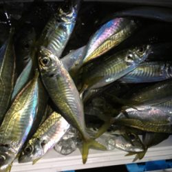 年が明けても好調